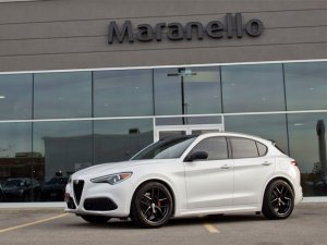 Alfa Romeo Stelvio Lowering Springs - 2.0L - MADNESS - Sport Plus